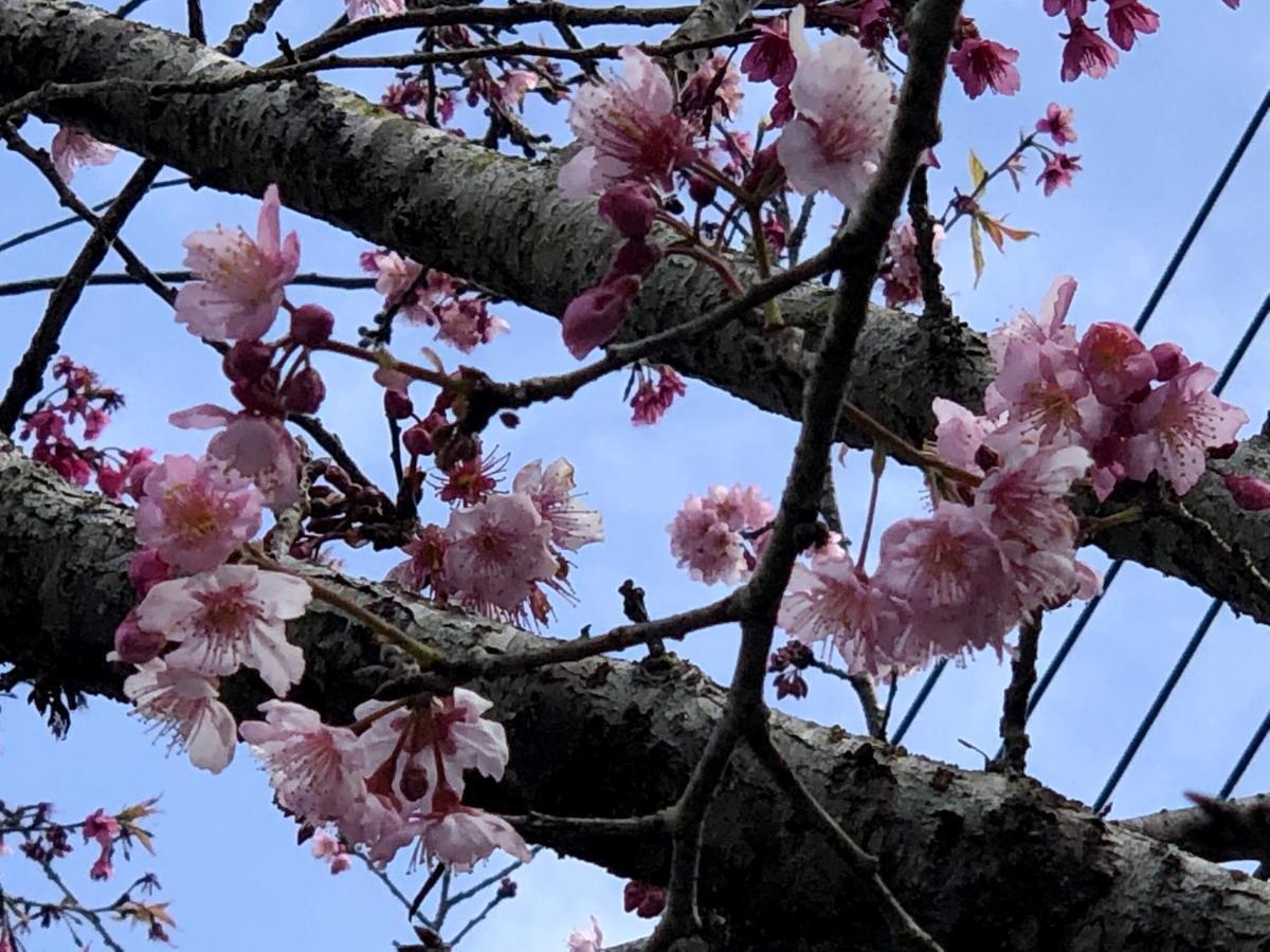 Tianyi Homestay Fenchihu Exteriör bild